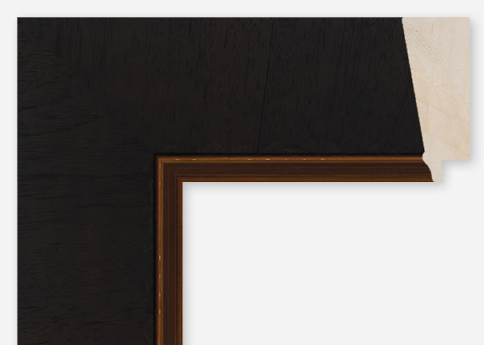 Custom Frame CFCDMS-10596