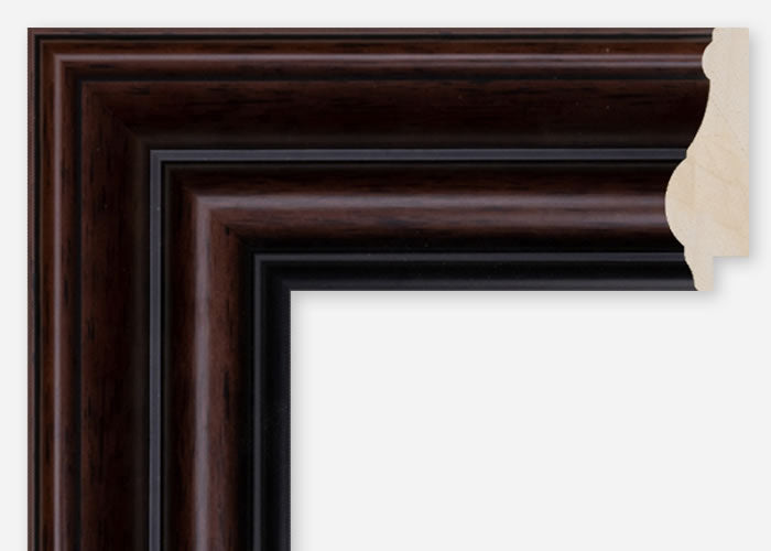 Custom Frame CFCDMS-10609