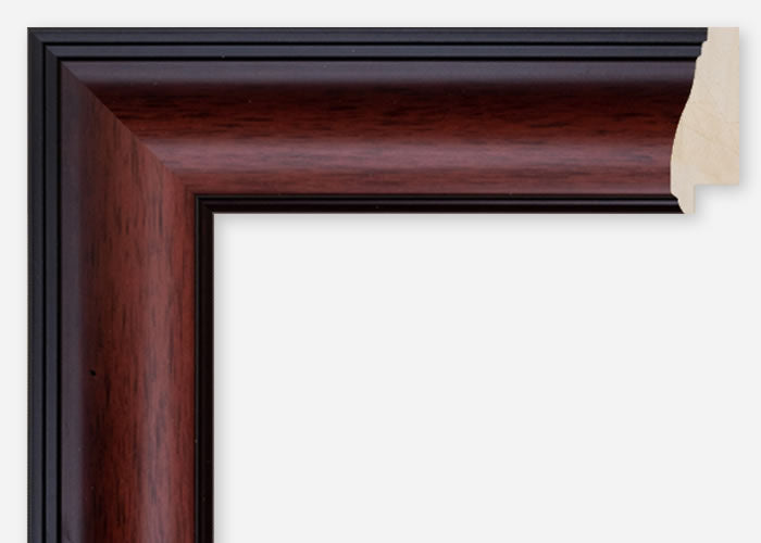 Custom Frame CFCDMS-10637