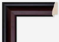 Custom Frame CFCDMS-10649