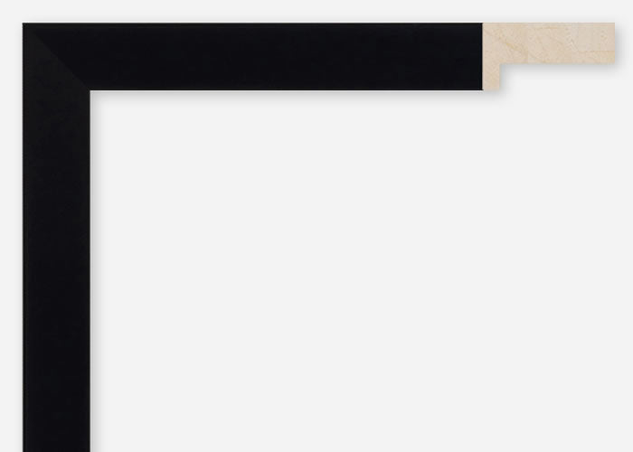 Custom Frame CFCDMS-10660