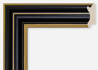 Custom Frame CFCDMS-10665