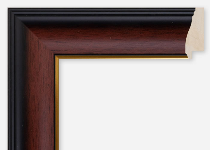 Custom Frame CFCDMS-10666