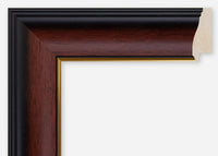 Custom Frame CFCDMS-10666