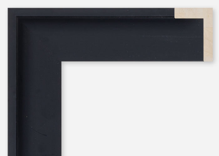 Custom Floater Frame CFCDMS-10691x