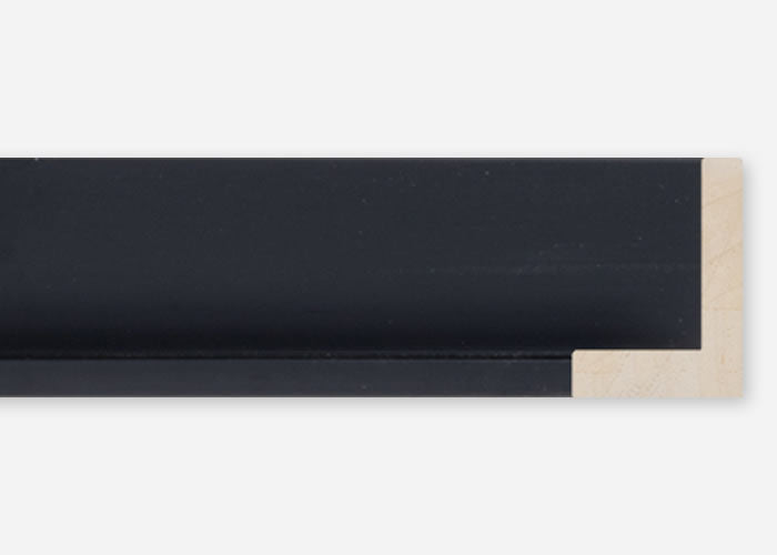 Custom Floater Frame CFCDMS-10691x