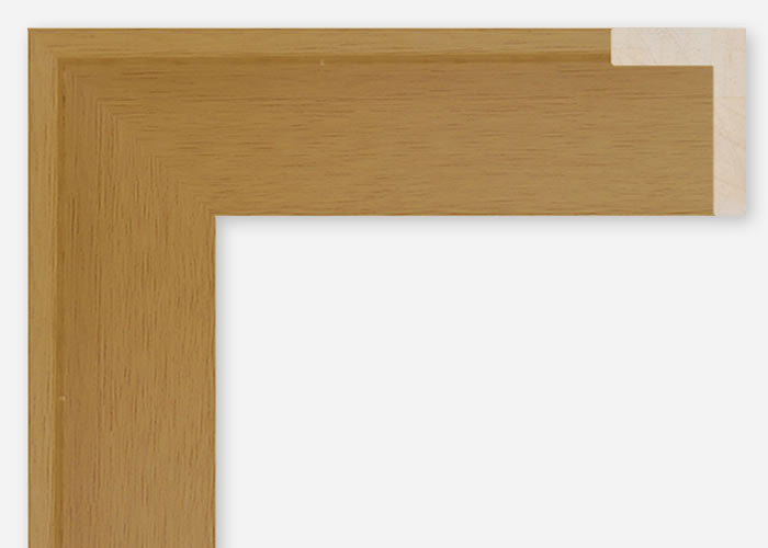 Custom Floater Frame CFCDMS-10694x