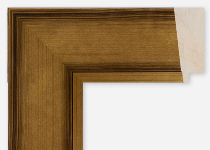 Custom Frame CFCDMS-10698