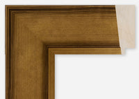 Custom Frame CFCDMS-10698