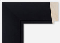 Custom Frame CFCDMS-10699