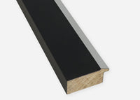 Custom Frame CFCDMS-10705