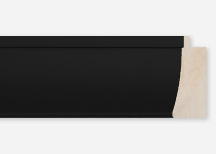 Custom Frame CFCDMS-10730