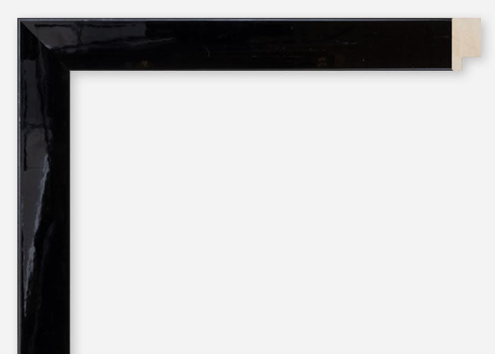 Custom Frame CFCDMS-10805