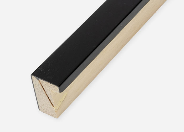 Custom Frame CFCDMS-10807