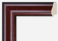 Custom Frame CFCDMS-10819