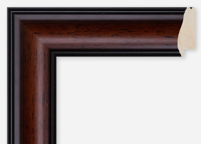 Custom Frame CFCDMS-10820