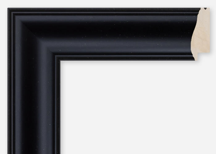 Custom Frame CFCDMS-10821
