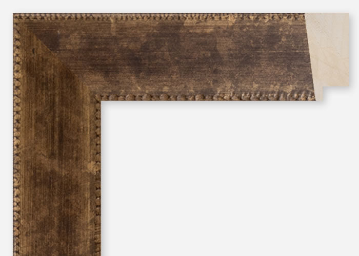 Custom Frame CFCDMS-10851