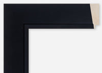 Custom Frame CFCDMS-10863
