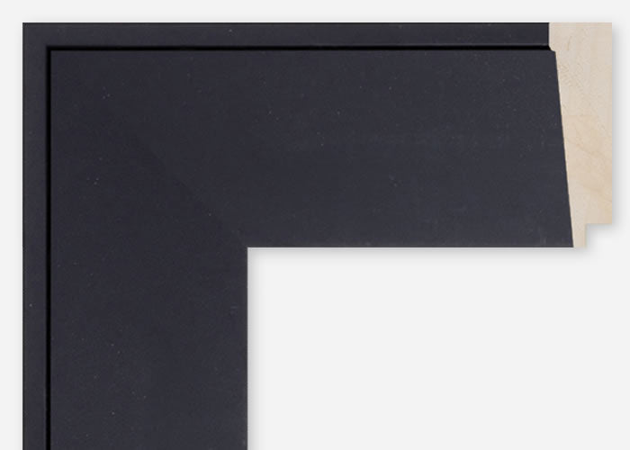 Custom Frame CFCDMS-10888