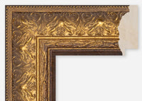Custom Frame CFCDMS-8483DF