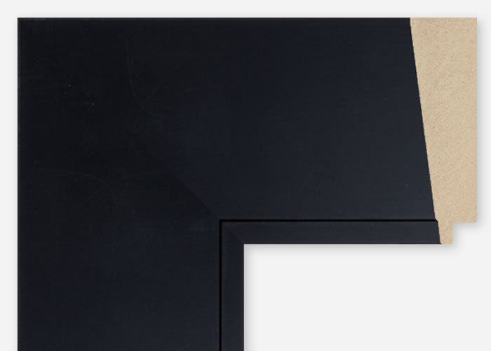 Custom Frame CFCDMS-10924
