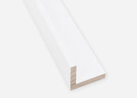 Custom Floater Frame CFCDMS-10941x