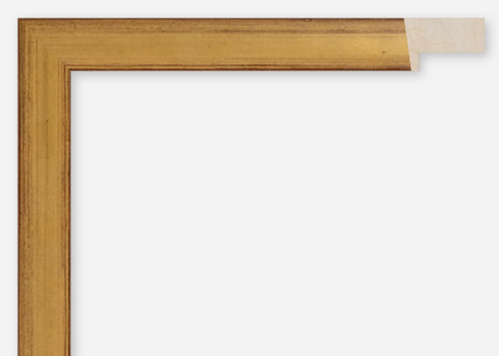 Custom Frame CFCDMS-10949