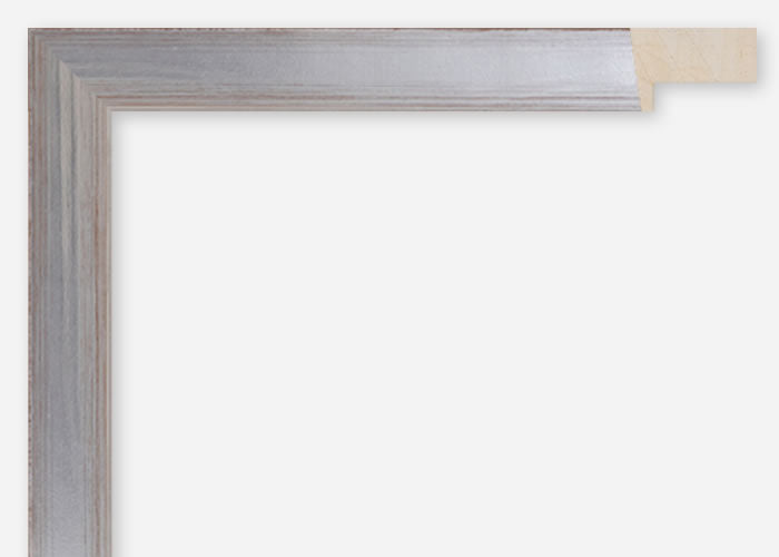 Custom Frame CFCDMS-10951