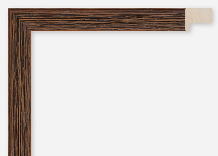 Custom Frame CFCDMS-10959