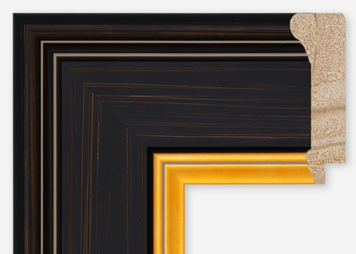 Custom Frame CFCDMS-10989