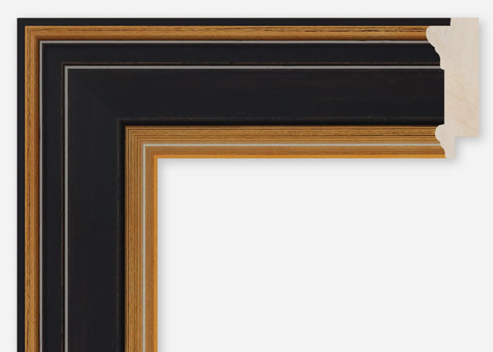 Custom Frame CFCDMS-10990