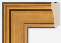 Custom Frame CFCDMS-10994