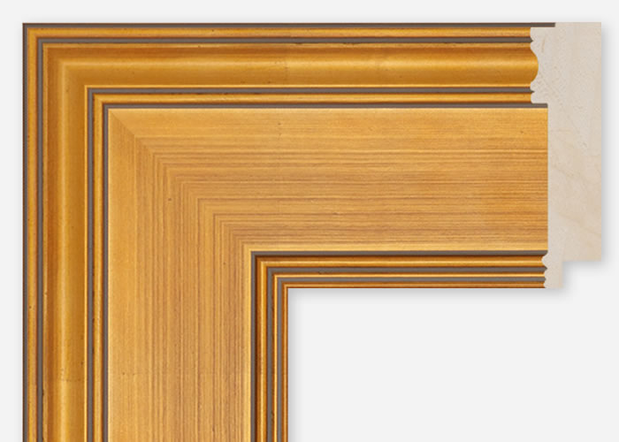 Custom Frame CFCDMS-10995
