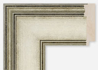 Custom Frame CFCDMS-10999
