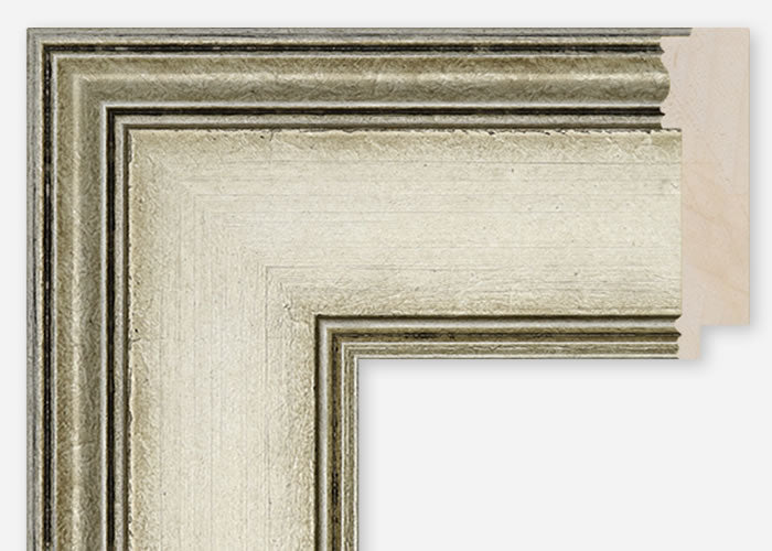 Custom Frame CFCDMS-10999