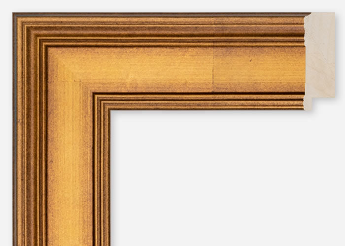 Custom Frame CFCDMS-11010