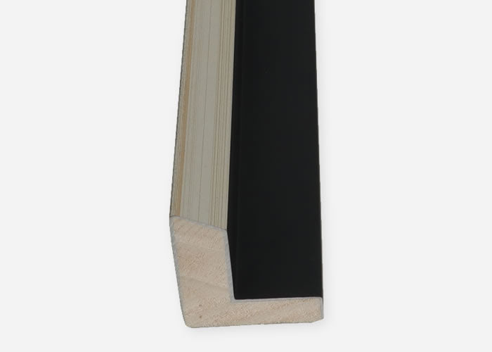Custom Floater Frame CFCDMS-11011