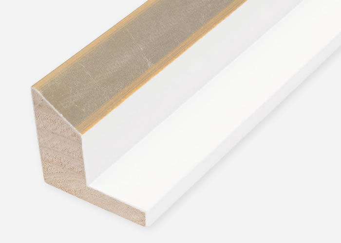 Custom Floater Frame CFCDMS-11021