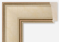 Custom Frame CFCDMS-11027