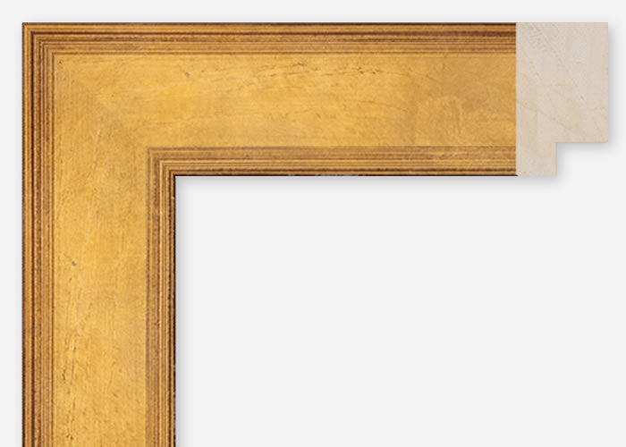 Custom Frame CFCDMS-11057