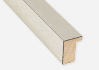 Custom Frame CFCDMS-11099
