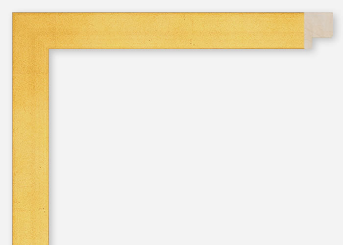 Custom Frame CFCDMS-11106
