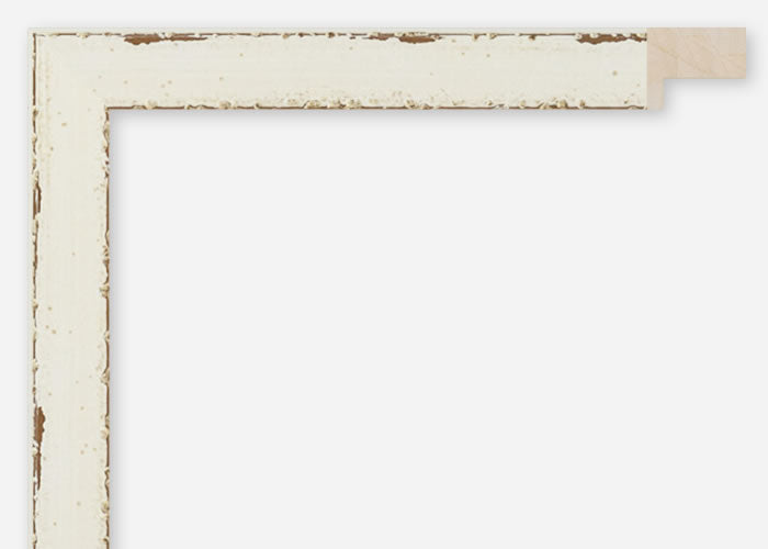 Custom Frame CFCDMS-11137