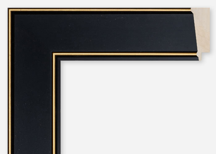 Custom Frame CFCDMS-11149