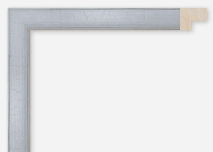 Custom Frame CFCDMS-11168