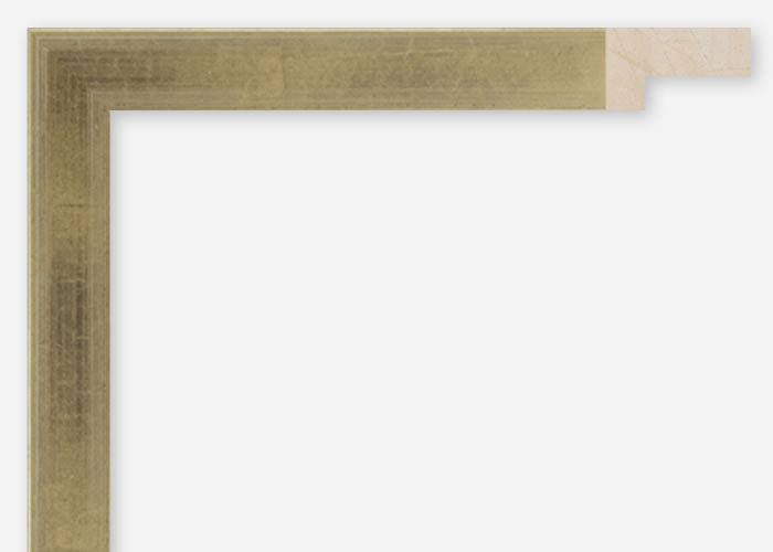 Custom Frame CFCDMS-11213