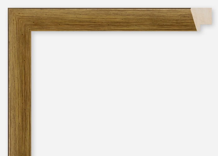 Custom Frame CFCDMS-11292