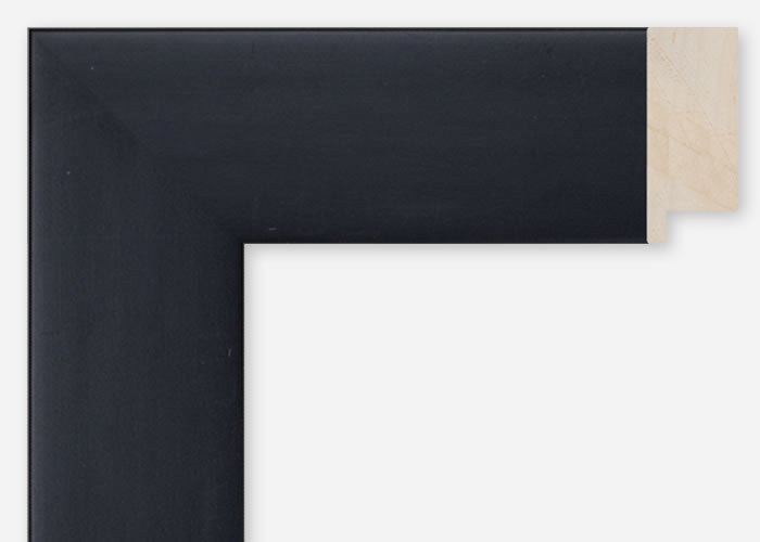 Custom Frame CFCDMS-11307