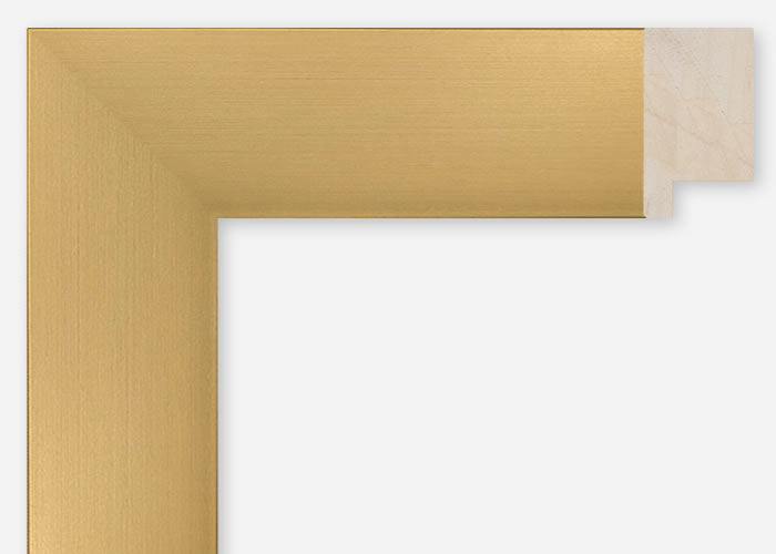 Custom Frame CFCDMS-11343